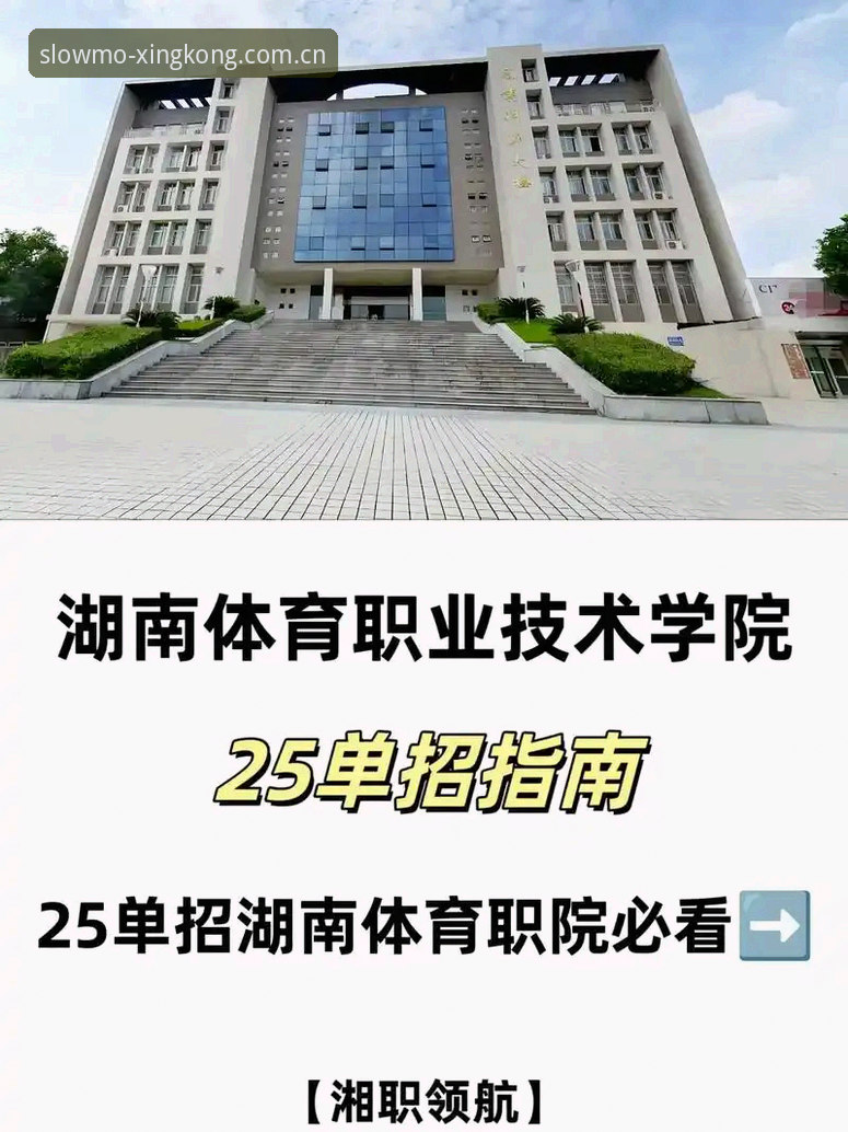 星空体育平台2025中国官网入口使用指南：从回放键到赛场的距离